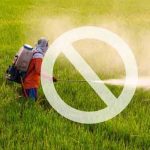 Costa Rica prohíbe uso de glifosato en áreas silvestres protegidas