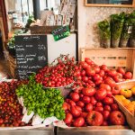 ¿Cuál es el término “correcto”… orgánico, ecológico, agroecológico?