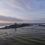 Organizaciones ecologistas exigen rescatar los océanos