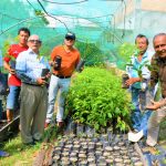 Impulsan la reforestación en San Martín