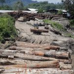 Capacitarán a comunidades nativas para verificar legalidad de la madera