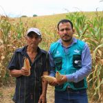 San Martín: Beneficiarán a tres mil productores de maíz con proyecto regional