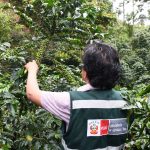 Minagri priorizará proyectos productivos en el Vraem