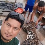 Loreto: Investigarán a sujetos que asesinaron un otorongo