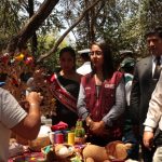 Zona recuperada del Santuario Histórico Bosque de Pómac fue restaurada al 100%