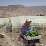 Suecia financia adaptación de agricultores al cambio climático
