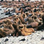 Elaborarán el primer Inventario Nacional del Patrimonio Natural del Perú
