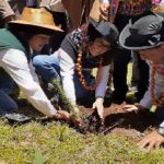 Junín: Instalan plantones forestales para prevenir lluvias y heladas