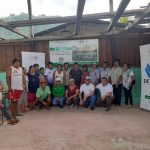 Incorporarán 200 nuevas hectáreas de cultivos de cacao en San Martín
