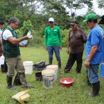 San Martín: Capacitan a agricultores en el manejo de plagas y enfermedades del cacao