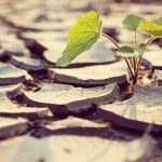 Urge planificación de riesgo climático por posible recesión financiera