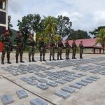Decomisan 450 kilos de drogas en Satipo