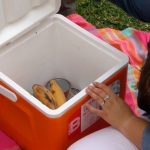 Qué alimentos son recomendables para llevar en un día de playa
