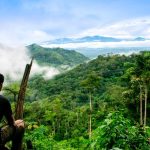 Destacan zonificación forestal de San Martín como respuesta ante el cambio climático