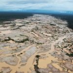 La recuperación plena de ecosistemas degradados puede durar siglos
