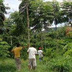 Minam aprobó la primera Zonificación Forestal del Perú