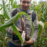 Acuerdan fortalecer desarrollo de la agricultura familiar en cinco regiones