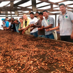 Impulsan la producción del copoazú en Madre de Dios