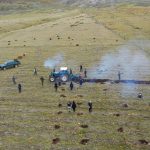 Junín: Plantan 1500 árboles nativos en Carhuamayo