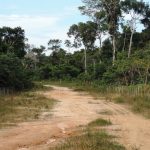 Reconocen nueva Área de Conservación Privada en Loreto