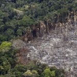 ¿Cómo influye el deterioro ambiental en las pandemias?