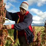 La tecnología como un “salvavidas” para preservar la biodiversidad