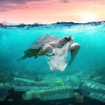 Cada año se vierten 10 millones de toneladas de plástico en los océanos