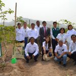 Realizan abonamiento de cultivos con guano de isla en seis regiones