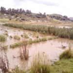 Puno: Inundación en Yunguyo afectó viviendas y cultivos
