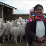 Reconocerán a mujeres con iniciativas ambientales