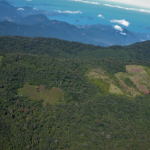 Brasil: La deforestación de un fragmento de Bosque Atlántico eleva la temperatura local