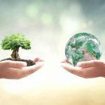 Biodiversidad del planeta Tierra en peligro de desaparecer