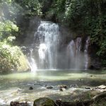 Loreto pasa a ser la región con mayor zonificación forestal a nivel nacional