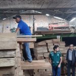 Decomisan 519 pies tablares de madera de origen ilegal