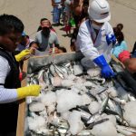 Decomisaron 100 toneladas de recursos pesqueros en el febrero
