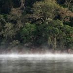 Brasil: “Si el Amazonas cae, todos caeremos”