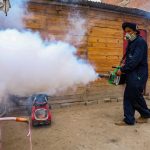 Nuevo genotipo del dengue agravaría epidemia regional