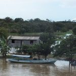 Piden coherencia a la ONU en defensa de los bosques