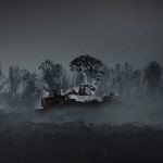 Investigan relación entre cambio climático y aumento del riesgo de pandemias