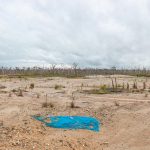 Investigan impacto de contaminación ambiental en pueblos indígenas