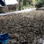 Precio de la cocaína en el Vraem cayó 58% por crisis sanitaria