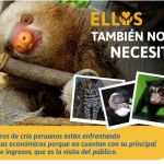 Inician campaña a favor de la fauna silvestre que vive en centros de cría