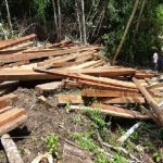 Intervienen embarcación que transportaba madera ilegal en Loreto