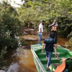Loreto: Intervienen madera de procedencia ilegal cerca al Caserío Limón