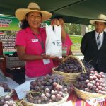 Tacna: Agricultores de Locumba incrementan producción de uva Red Globe
