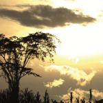 El Perú apuesta por un futuro sin emisiones de carbono