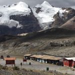 La ‘crisis climática’ desatará pérdidas repentinas de biodiversidad