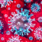 Aparición del Covid-19 se da porque existe brecha metabólica entre el ser humano y la naturaleza