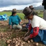 Plantean acciones para proteger a comunidades nativas e indígenas
