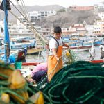 Destinarán S/17 millones para otorgar créditos en actividades de pesca artesanal y acuicultura